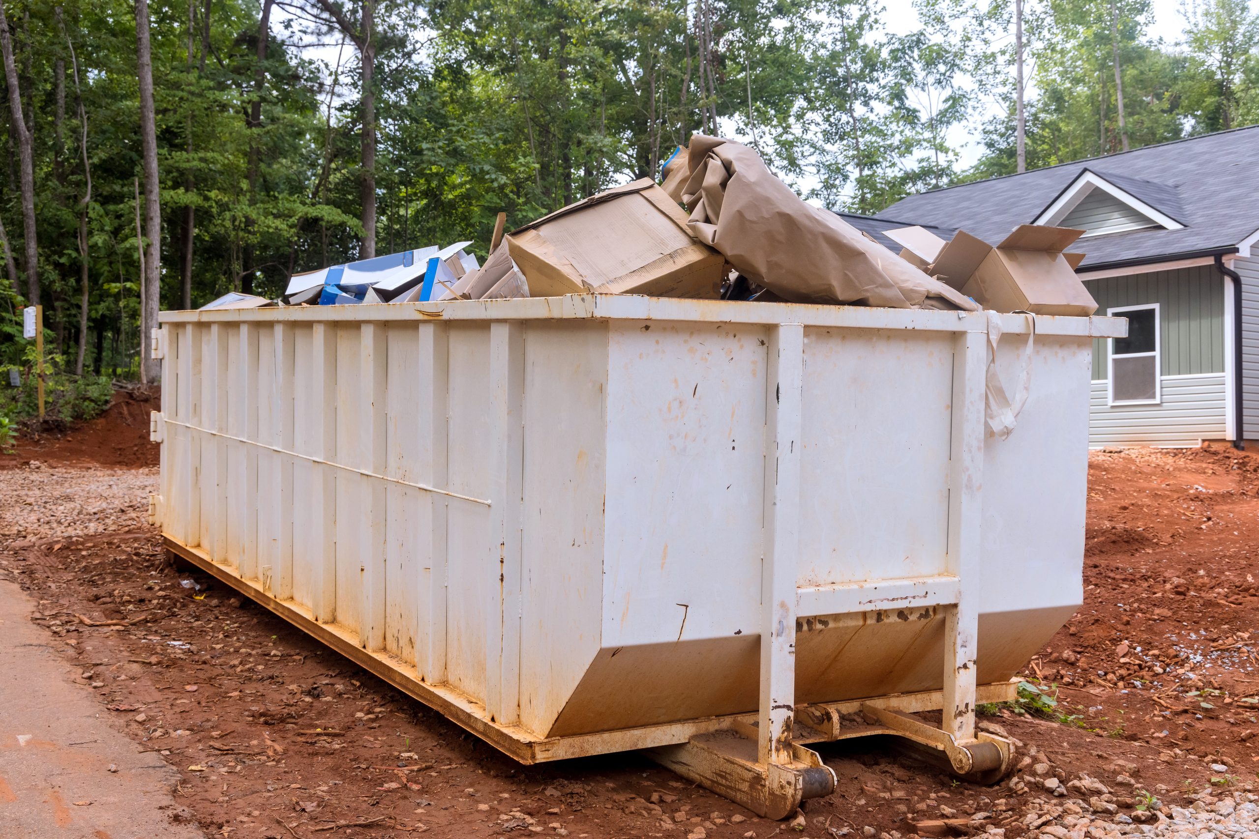 Skip hire for renovation or construction waste